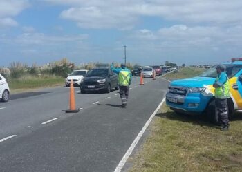 Qué no puede faltar para viajar seguros y evitar multas