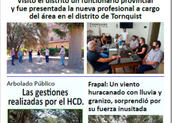 Observador Serrano Nº1719 (estilo diario)