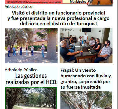 Observador Serrano Nº1719 (estilo diario)