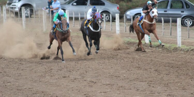 El domingo vuelve el turf a Tornquist (Video y programa)