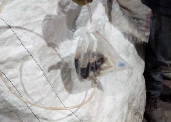 Residuos peligrosos fueron encontrados en los materiales reciclados