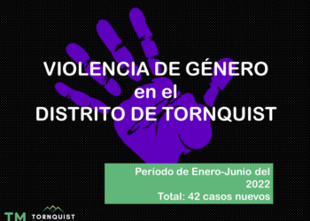 Informe mensual sobre Situaciones de Violencia por Razones de Género Registradas