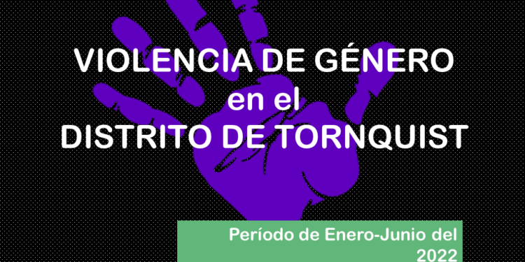 Informe mensual sobre Situaciones de Violencia por Razones de Género Registradas