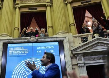 Frente de Todos: “Pudimos aprobar en diputados el apoyo a la cultura”