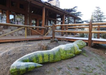 Un árbol caído fue transformado en dos nuevas esculturas en Sierra de la Ventana