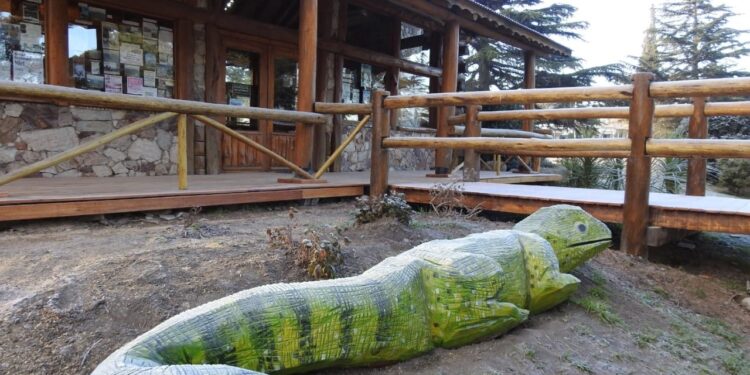 Un árbol caído fue transformado en dos nuevas esculturas en Sierra de la Ventana