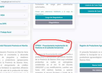 Productores agropecuarios podrán solicitar líneas de financiamiento para la implementación de pasturas