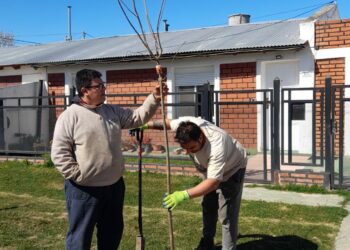 El municipio continúa con la plantación de nuevos árboles en el distrito
