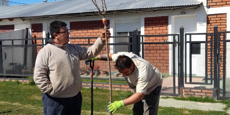 El municipio continúa con la plantación de nuevos árboles en el distrito