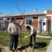 El municipio continúa con la plantación de nuevos árboles en el distrito