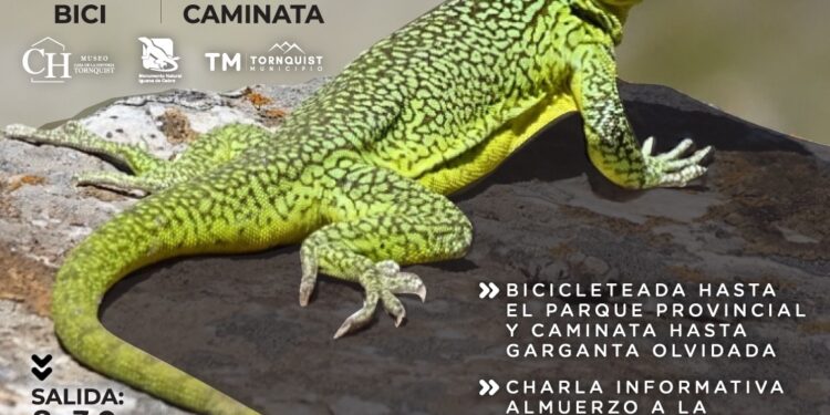 Se viene el segundo cicloturismo “Monumento Natural Iguana de Cobre”