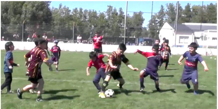 Jornada a pleno fútbol en el 26° Encuentro Regional de Escuelitas organizado por Automoto (Videos)
