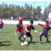 Jornada a pleno fútbol en el 26° Encuentro Regional de Escuelitas organizado por Automoto (Videos)
