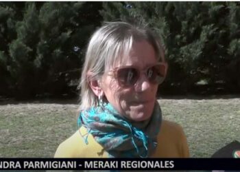 Se realiza un nuevo Paseo de Artesanos y la Fiesta de la Tradición