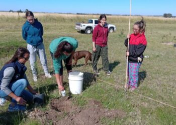 Junto al municipio, alumnas del CNSL plantaron especies nativas en uno de los accesos a Tornquist