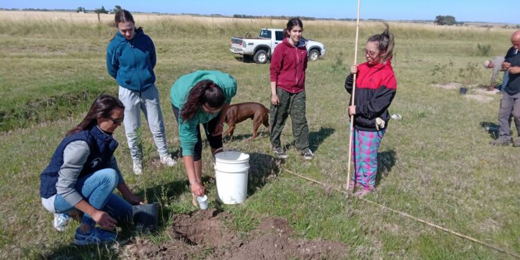 Junto al municipio, alumnas del CNSL plantaron especies nativas en uno de los accesos a Tornquist