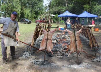 Se anticipó el verano en la Playa de la Comarca (fotos y próximamente videos)