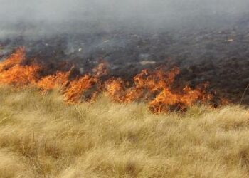 Incendio forestal en el sector rural