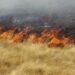Incendio forestal en el sector rural