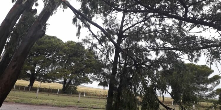 Permanecerá cerrado el Parque Lineal preventivamente