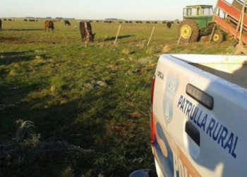 Un persona que merodeaba por establecimientos rurales fue aprendida y debió ser internada por  desidratación y desorientación