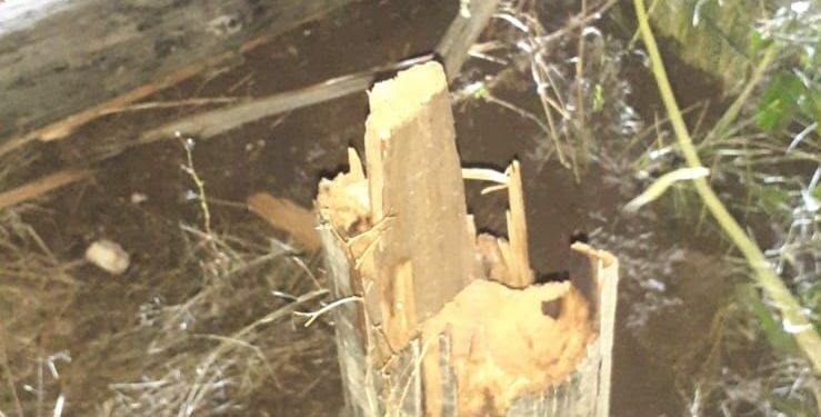 CELT informa: La tormenta causó inconvenientes en el sector rural con cables cortados y quebradura de postes