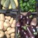 Huerta Municipal: Entre noviembre y febrero se cosecharon más de 5000 kilos de verduras y hortalizas