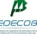 Cooperativas Eléctricas en situación crítica
