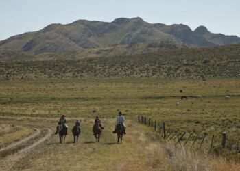 Informe: Política turística de Tornquist Municipio