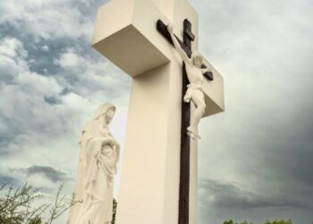 Agradecimiento a Maria Laura Spagnuolo