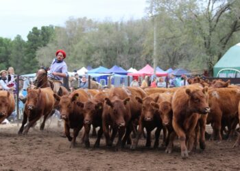 Se realiza con éxito la Expo Funcional y Morfológica en el predio de la Asociación Rural (fotos y videos)