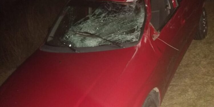 Una persona herida tras el choque de un vehículo contra un búfalo en la ruta 76