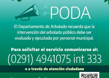 Las podas y/o extracciones de arbolado público en el distrito deben autorizarse