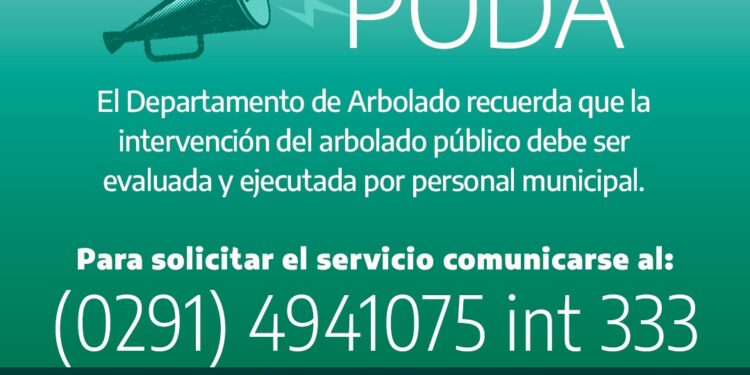 Las podas y/o extracciones de arbolado público en el distrito deben autorizarse