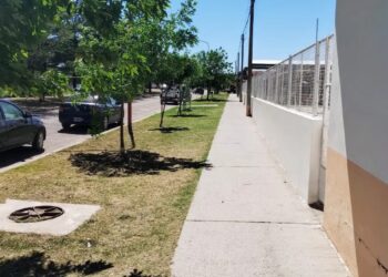 Trabajos realizados por el Consejo Escolar durante el mes de noviembre