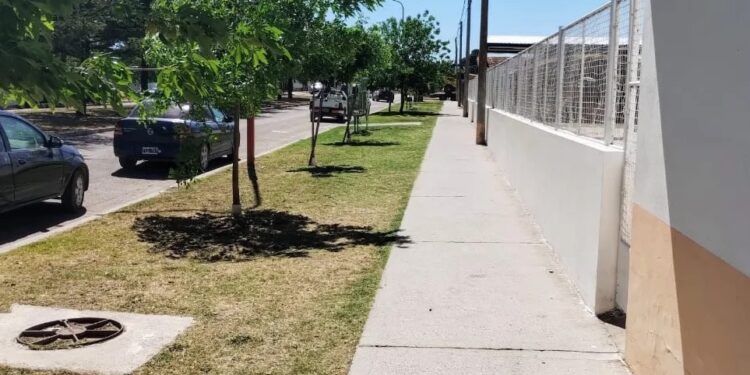 Trabajos realizados por el Consejo Escolar durante el mes de noviembre