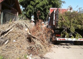 Funcionamiento del servicio de recolección de ramas y escombros en Tornquist