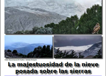 Observador Serrano 1778 Edición impresa – versión PDF.