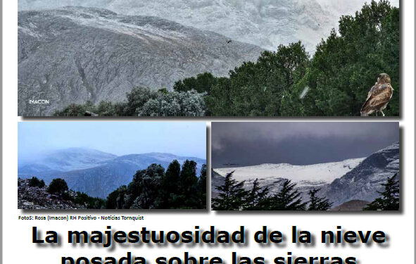 Observador Serrano 1778 Edición impresa – versión PDF.