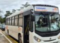 Desde julio, una nueva línea de micros conectará Tornquist, Tres Picos y Bahía Blanca